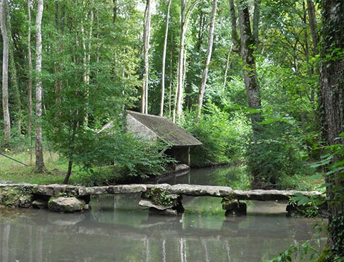 Camping Mimizan Lac : un emplacement idéal pour visiter les Landes