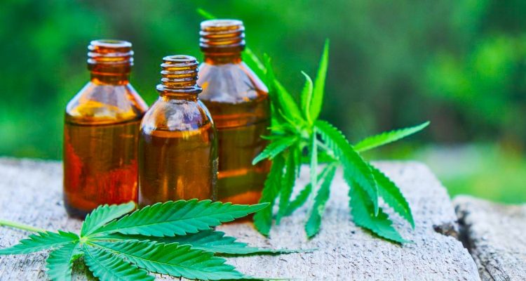 Pourquoi le CBD est-il aussi populaire en 2020 ?