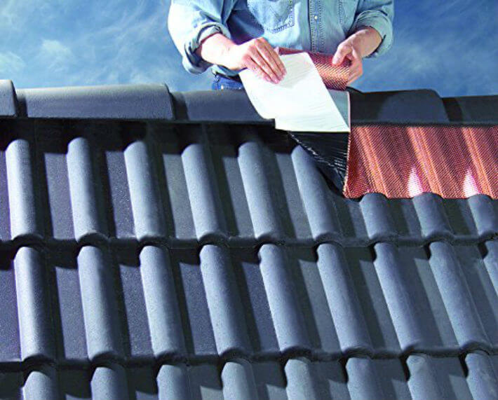 Comment protéger sa toiture de la mousse ?