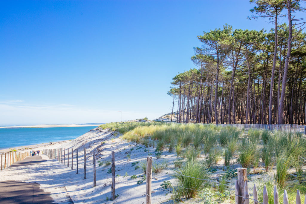 L&rsquo;histoire de la ville de La Test de Buch